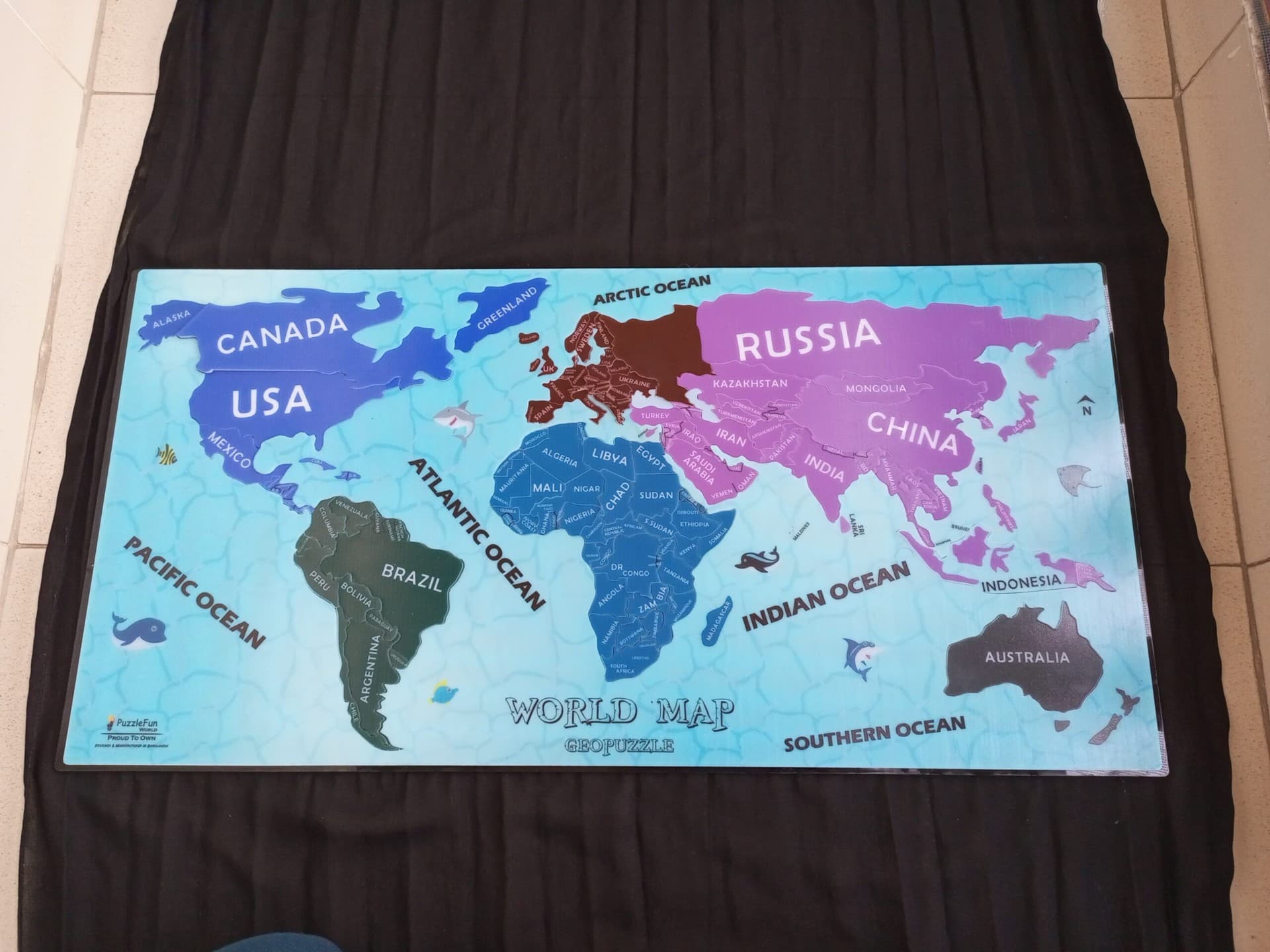 World Map Puzzle (Color)